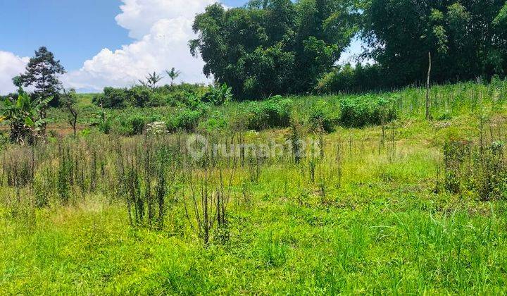 Tanah di Donowareh, Malang 7.000 m² Strategis Cocok Investasi 2