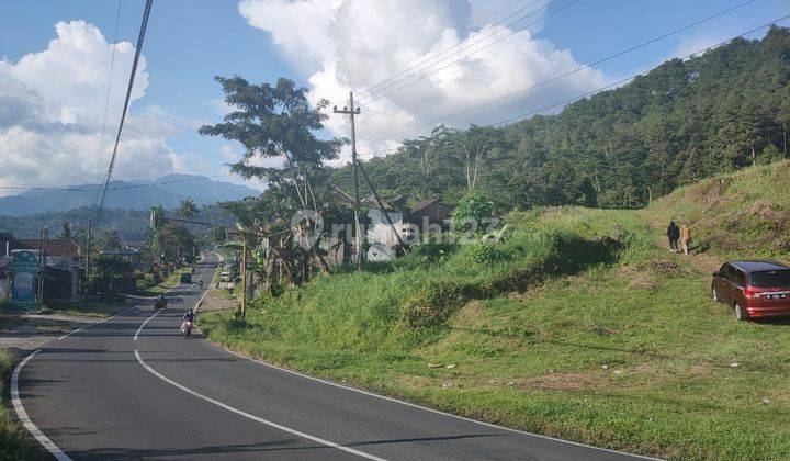 Tanah Poros Jalan Murah Luas Cocok Untuk Usaha di Ngantang Kab Malang  2