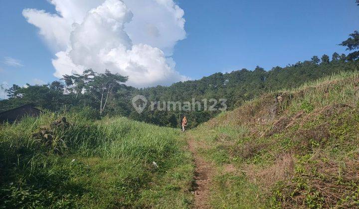 Tanah Luas murah poros Jalan Ngantang Kab Malang 2