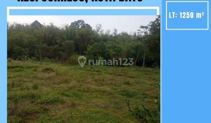 Lahan Sawah Super Luas Subur Murah Dekat Pusdik Arhanud Kota Batu 1