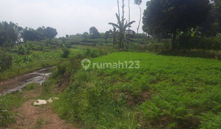 Tanah Luas Subur Untuk Pertanian Dekat Dengan Jalan Raya Pujon Malang 2