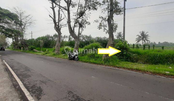 Tanah Luas Murah Poros Jalan Dekat Wisata Tumpang Malang 2