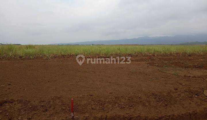 Tanah Kavling Super Murah Dekat Perum Green Aleena Kab. Malang 2