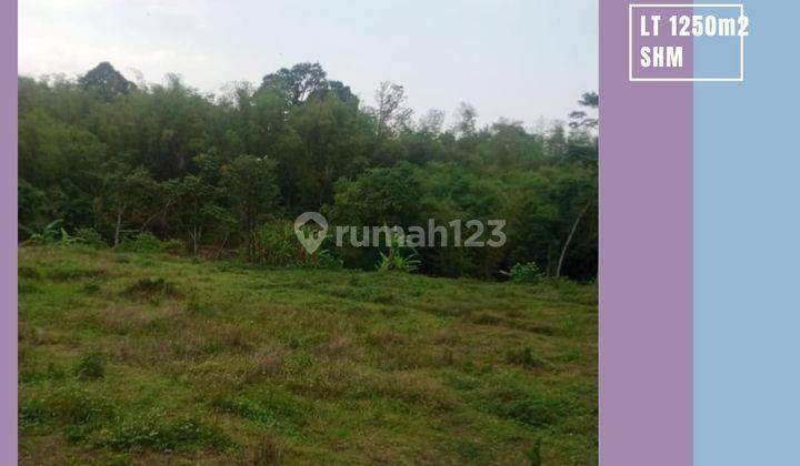 Tanah Sawah Luas Subur Murah Sejuk Asri Dekat Arhanud Kota Batu 1