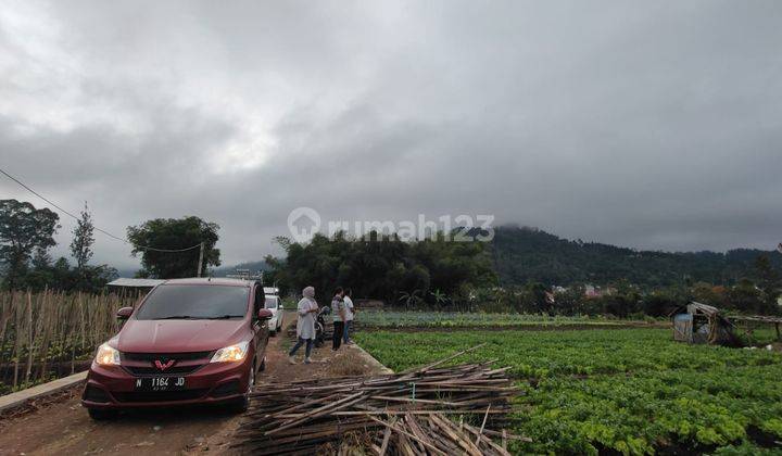 Tanah Sawah Murah Subur View Gunung Bagus Untuk Investasi Di Batu 2