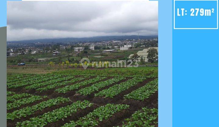 Tanah Sawah Subur Bagus Untuk Pertanian Investasi Di Kota Batu 1