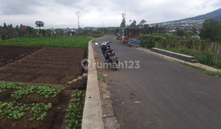 Tanah Sawah Subur Bagus Untuk Pertanian Investasi Di Kota Batu 2