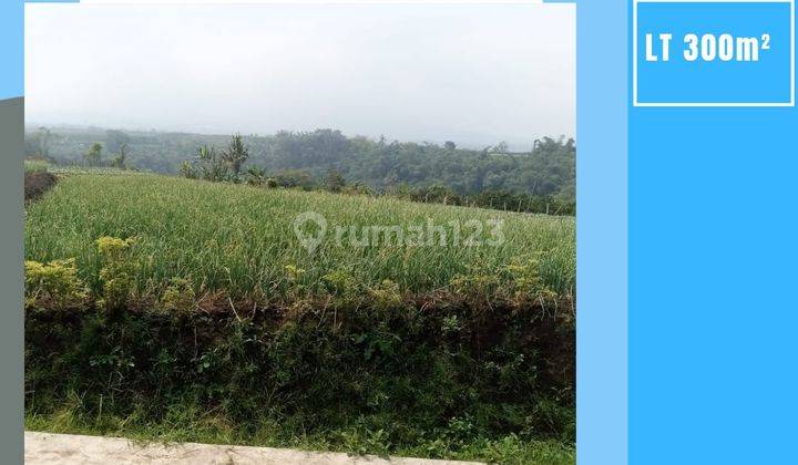 Tanah Luas Subur Strategis Untuk Pertanian View Gunung Kota Batu 1