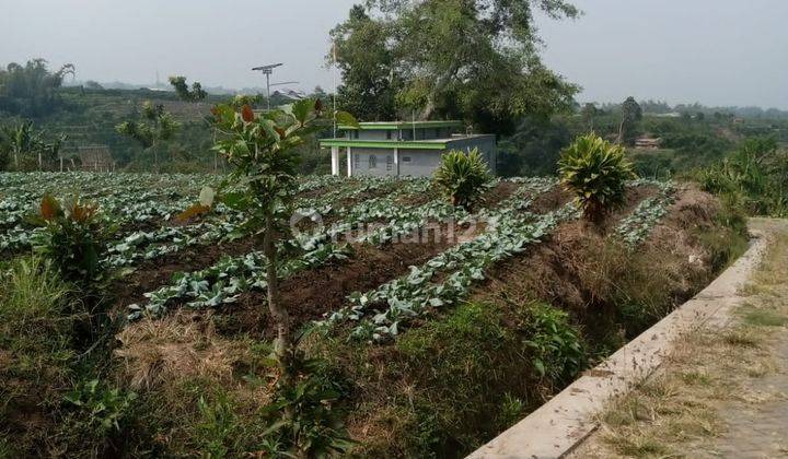 Tanah Luas Subur Strategis Untuk Pertanian View Gunung Kota Batu 2