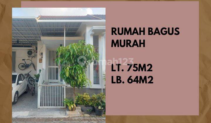 Rumah Murah Luas Strategis di Pandanwangi Blimbing Malang 1