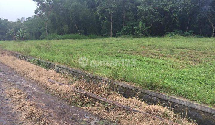 Tanah Luas Dan Termurah Cocok Untuk Perumahan di Junrejo Batu Lokasi Sangat Strategis 2