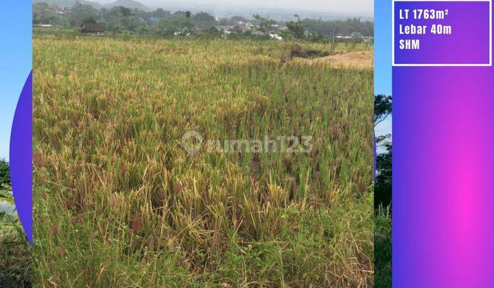 Tanah Luas Dan Termurah Cocok Untuk Perumahan di Junrejo Batu Lokasi Sangat Strategis 1