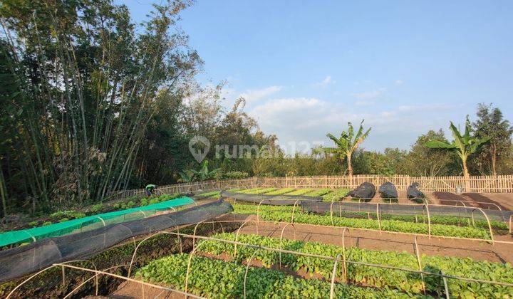 Tanah View Sempurna di Pandanrejo Kota Batu 2