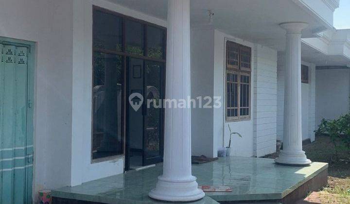 Rumah luas murah di jl Gajahmada Kaliwates Jember 1