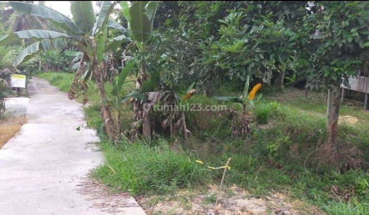 Tanah poros jalan murah di Samboja Kutai Kertanegara  2