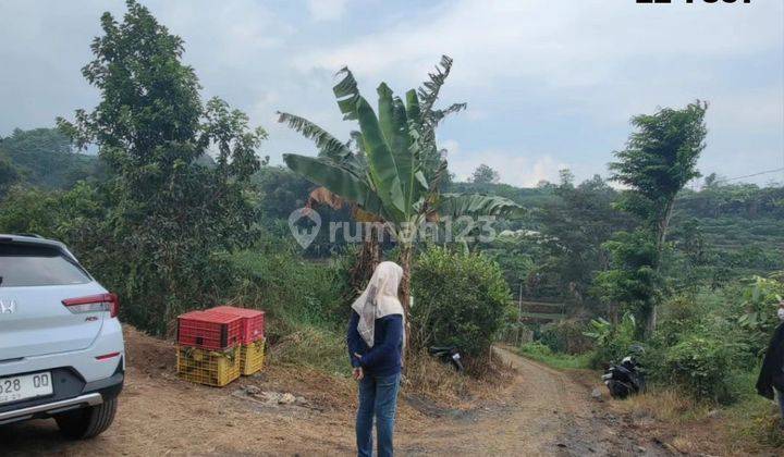 Tanah kebun jeruk murah dan luas di Bumiaji Batu* 1