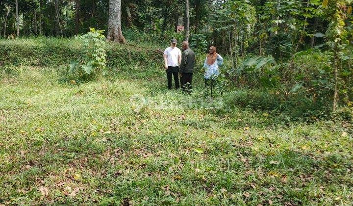 Tanah poros jalan murah di Tumapel Singosari 2