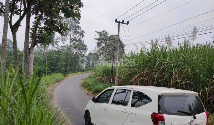 Tanah poros jalan murah dan luas di Tumapel Singosari 1