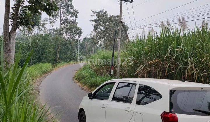 Tanah poros jalan murah dan luas di Tumapel Singosari 2