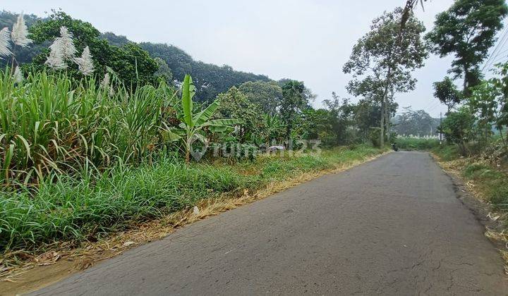 Tanah poros jalan luas dan murah di Singosari Malang 2