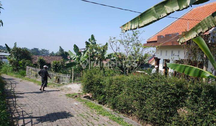 Rumah bonus kebun jeruk luas di Bumiaji batu 2