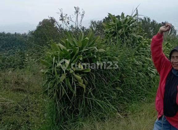 Tanah subur view bagus di Sumbergondo Bumiaji kota Batu  2