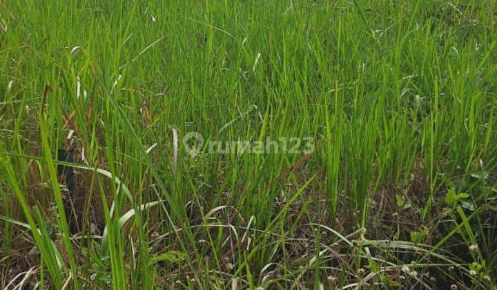 Tanah Subur Super Murah Untuk Kebun Atau Sawah Udara Sejuk Kota Batu 1