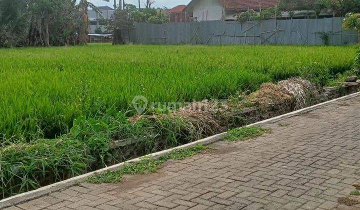 Tanah subur dan luas di Tanjungtirto Singosari Malang  2