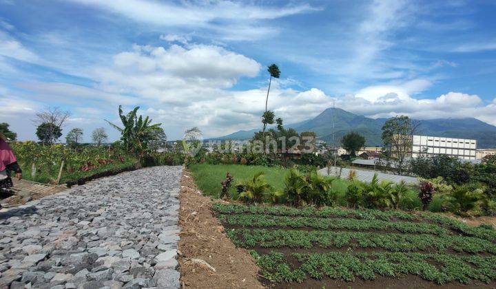 Tanah Murah Potensial Subur Lokasi di Bumiaji Kota Batu 2