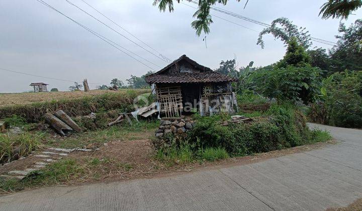 Tanah Sawah Luas Dan Subur 200 Jutaan Di Mojokerto  2