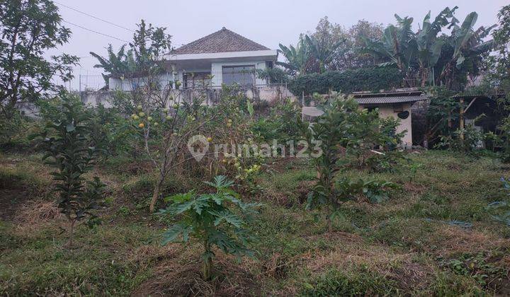 Tanah Kebun Luas Subur Strategis di Bulukerto Kota Batu  2