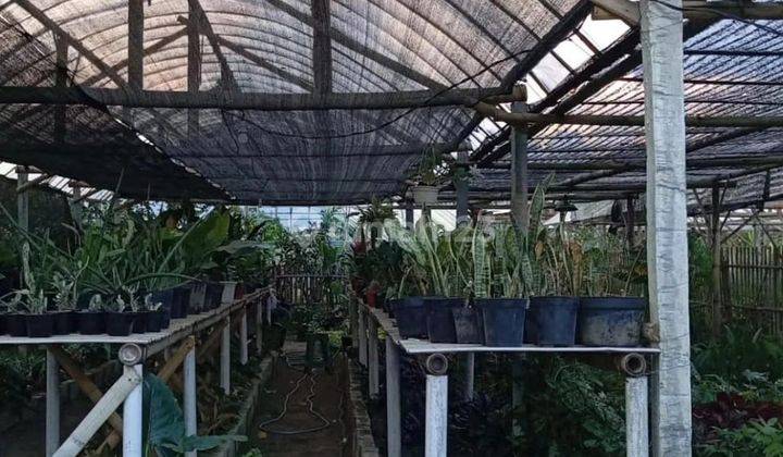 Rumah Dan Tanah Kebun Luas Di Banaran Bumiaji Batu 1