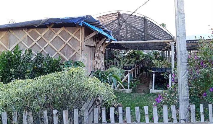 Rumah Dan Tanah Kebun Luas Di Banaran Bumiaji Batu 2