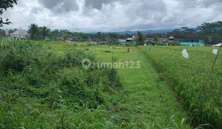 Edisi Bu Tanah Luas Dan Murah Strategis di Kepanjen Malang  1