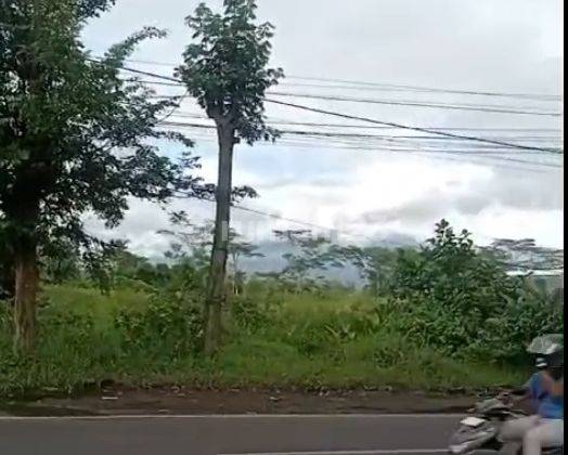 Tanah Poros Jalan Raya Murah Strategis di Area Bisnis Pakisaji Malang  2