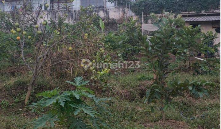 Tanah Kebun Luas Subur Strategis di Bulukerto Kota Batu  1