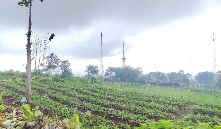 Tanah Kavling Luas View Pegunungan Strategis di Kota Batu  2