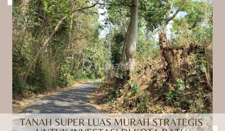 Tanah Strategis Poros Jalan Aspal Strategis di Junrejo Kota Batu  1