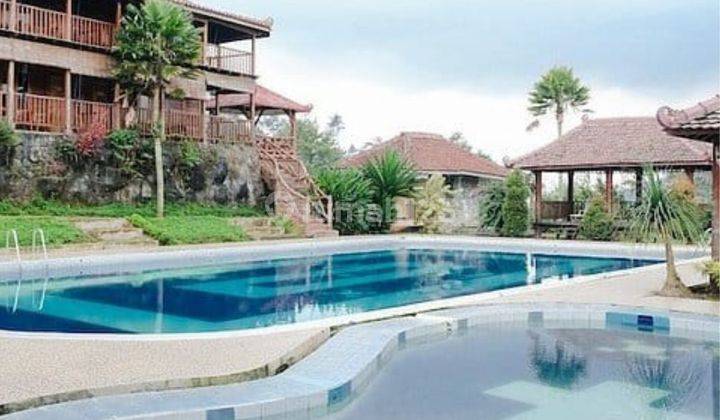 Hotel dan Resort Strategis Dekat Area Wisata dan Jalan Raya Utama  1