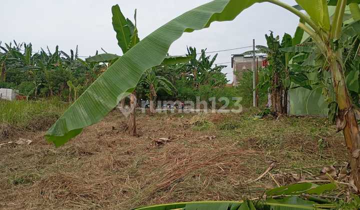 SHM Land Ready in Ketileng, Sendangmulyo, Tembalang, Semarang