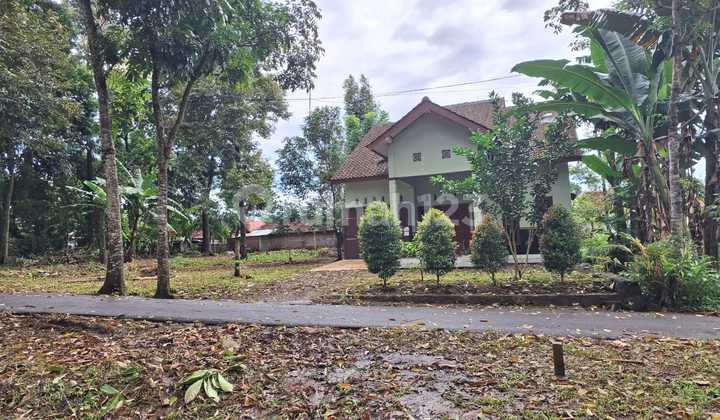 Tanah Cocok untuk Kost-Kostan Dekat Bsb Mijen Semarang