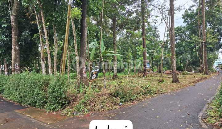 Tanah Murah Dekat Uptown Mall Bsb Mijen Semarang 2