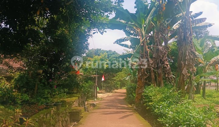 Tanah Murah Zona Kuning di Trisobo Boja Dekat Mijen Semarang 2