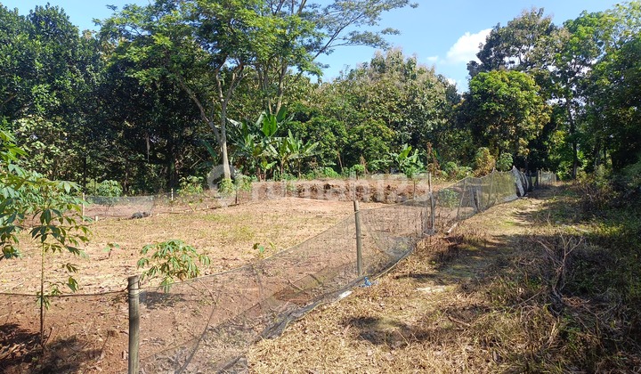 SHM Land Ready, Suitable for Boarding Houses Near Unnes Gunungpati Campus, Semarang 1