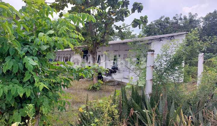 Dijual Tanah Jl. Mangga Driyorejo Gresik