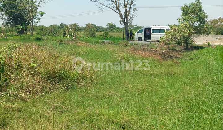 Vacant Land for Sale in Klaten, Central Java