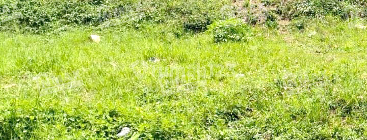 Land Area 8,468 m2, Supit Urang, Wagir Malang, suitable for housing.