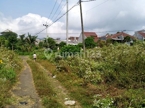 TANAH STRATEGIS DAN LUAS BISA UNTUK USAHA DI DIENG MALANG 4