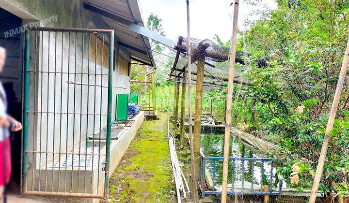 TANAH LUAS LEBAR 48 METER COCOK UNTUK KEBUN DI PANDANSARI,PONCOKUSUMO,KAB MALANG 2