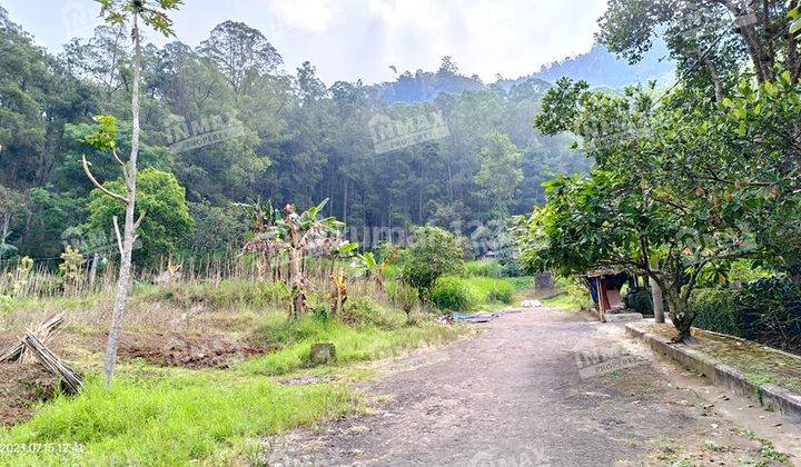 TANAH LUAS VILLA BUKIT PINUS PUJON BATU, VIEW GUNUNG DAN HUTAN PINUS 1